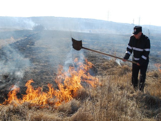 incendiu-vegetatie-uscata-mar-2014