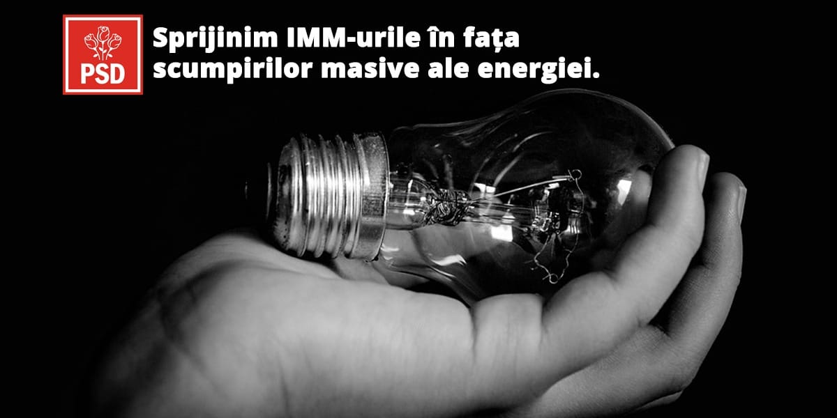 imm-1