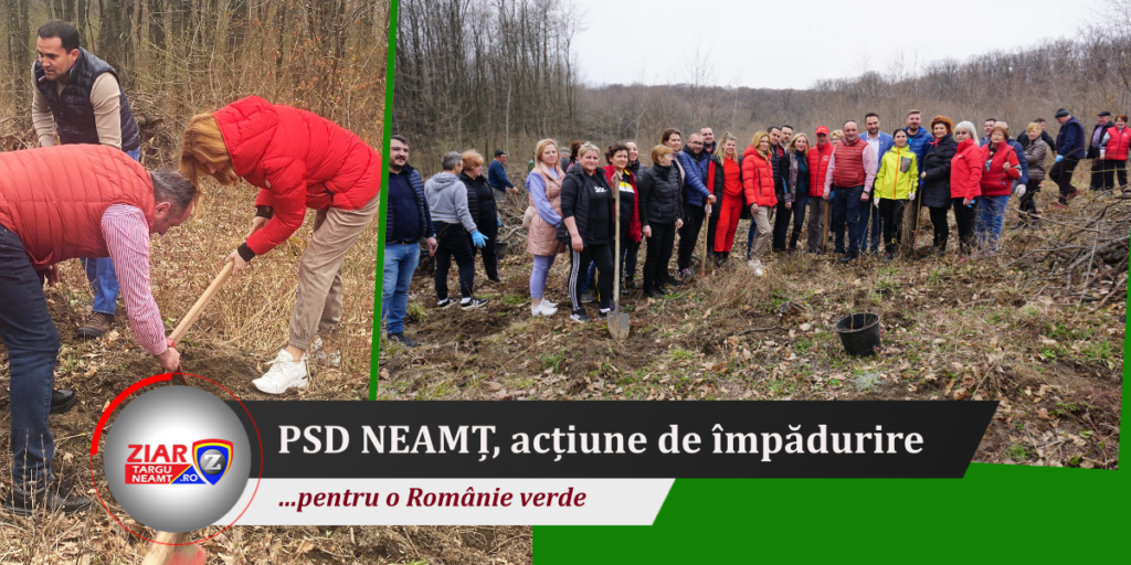 psd-neamt-impadurire-romanie-verde-2-1024×512-1